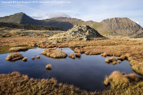 Upland Pool in Snowdon Horseshoe Picture Board by Pearl Bucknall