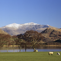 Buy canvas prints of Mount Snowdon from Nantlle Snowdonia by Pearl Bucknall