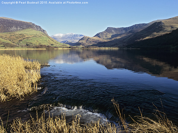 Llyn Nantlle Snowdonia Picture Board by Pearl Bucknall