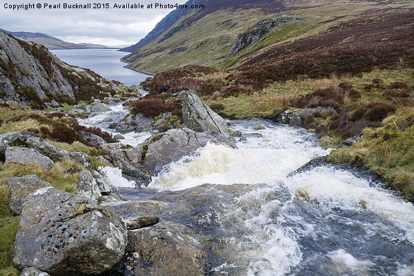Mountain Stream in Snowdonia Picture Board by Pearl Bucknall