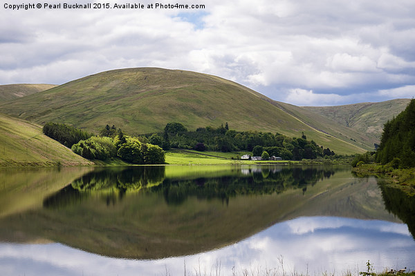 Reflections in Loch of the Lowes Scottish Borders Picture Board by Pearl Bucknall