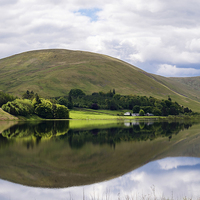 Buy canvas prints of Reflections in Loch of the Lowes Scottish Borders by Pearl Bucknall
