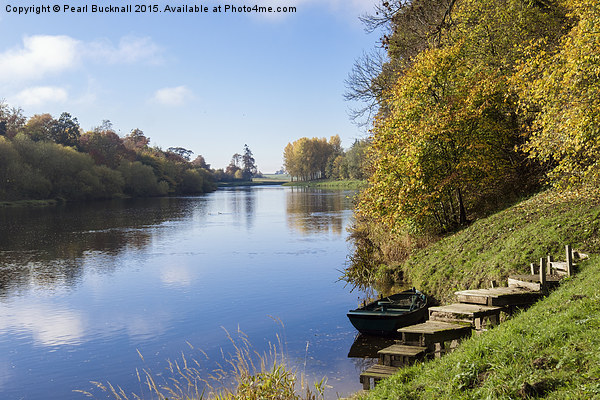 River Tweed in Autumn Scottish Borders Scotland Picture Board by Pearl Bucknall
