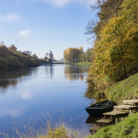 Buy canvas prints of River Tweed in Autumn Scottish Borders Scotland by Pearl Bucknall