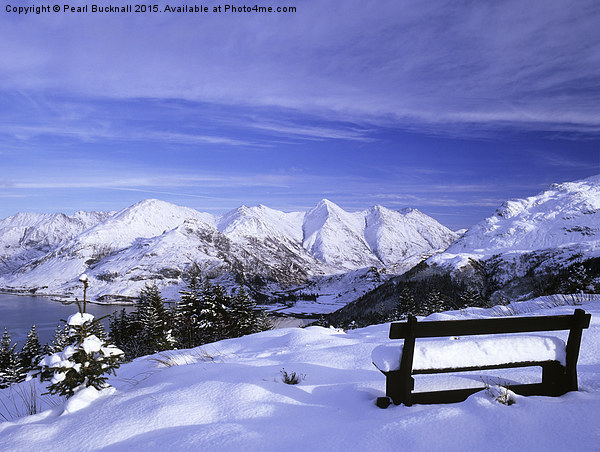 Bench looking to Five Sisters of Kintail in Snow Picture Board by Pearl Bucknall