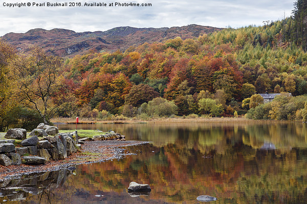  Llyn Geirionydd Lake in Autumn Picture Board by Pearl Bucknall
