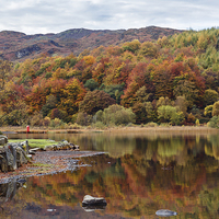 Buy canvas prints of  Llyn Geirionydd Lake in Autumn by Pearl Bucknall