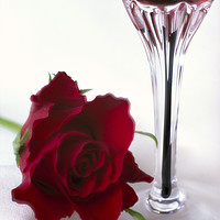 Buy canvas prints of Red Rose and Wine Valentine Concept by Pearl Bucknall