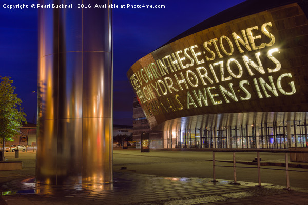 Millennium Centre Cardiff at Night Picture Board by Pearl Bucknall