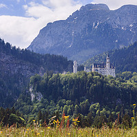Buy canvas prints of Schloss Neuschwanstein castle by Pearl Bucknall