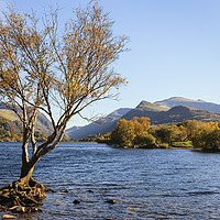 Buy canvas prints of Llyn Padarn Llanberis Lake in Autumn by Pearl Bucknall
