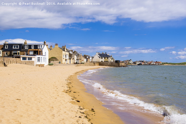 Elie and Earlsferry Scottish Beach Scotland Picture Board by Pearl Bucknall