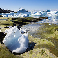 Buy canvas prints of Ice and Icebergs Greenland by Pearl Bucknall