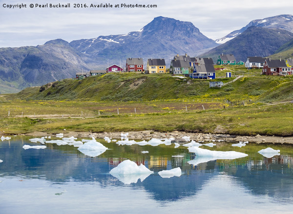 Summer in Narsaq Greenland Picture Board by Pearl Bucknall