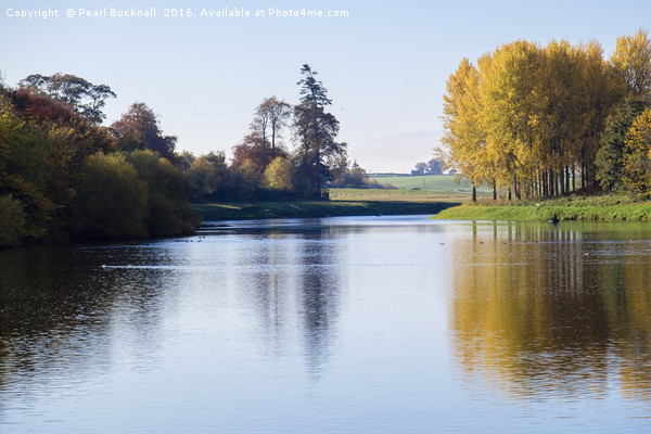 Tranquil Tweed Autumn Reflections  Framed Mounted Print by Pearl Bucknall