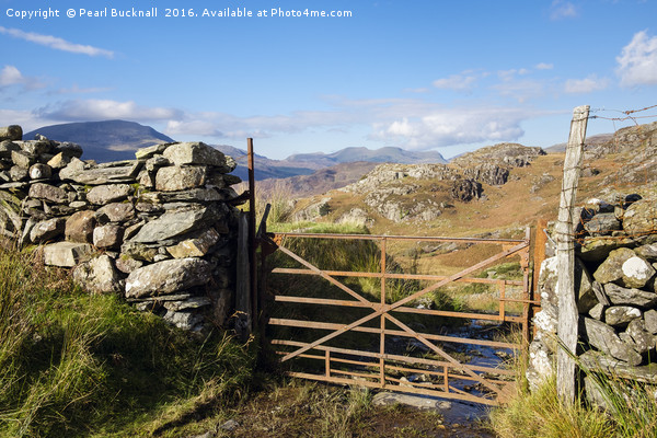 Rusty Farm Gate in Hills of Snowdonia Picture Board by Pearl Bucknall