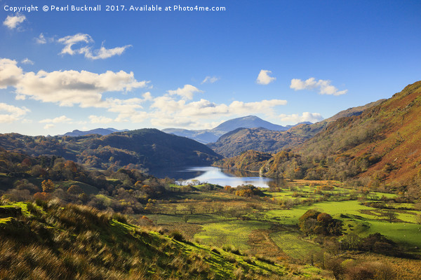Nant Gwynant Valley in Snowdonia Picture Board by Pearl Bucknall