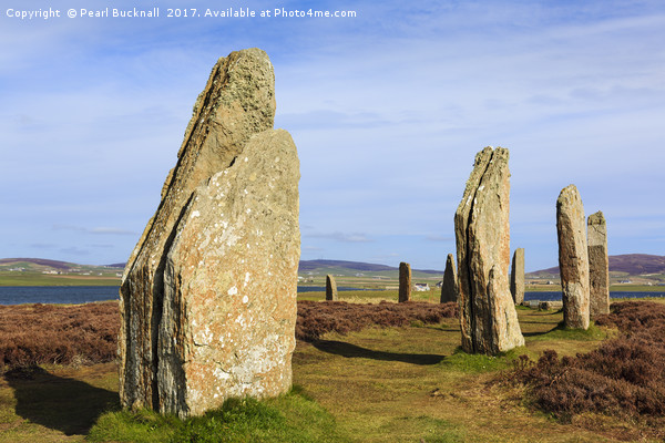 Ring of Brodgar Orkney Standing Stones Scotland Picture Board by Pearl Bucknall
