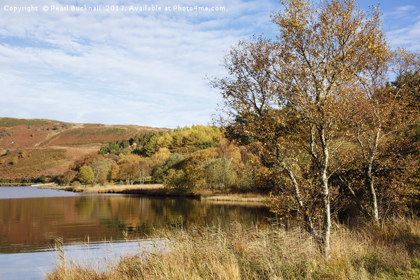 Llyn Geirionydd lake in Autumn Picture Board by Pearl Bucknall