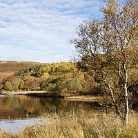 Buy canvas prints of Llyn Geirionydd lake in Autumn by Pearl Bucknall