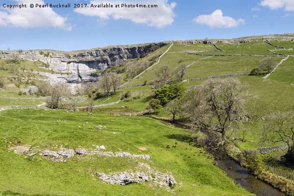 Malham Cove and Malham Beck Yorkshire Dales Picture Board by Pearl Bucknall