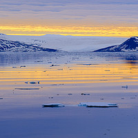 Buy canvas prints of Tranquil Arctic Sea off Svalbard by Pearl Bucknall
