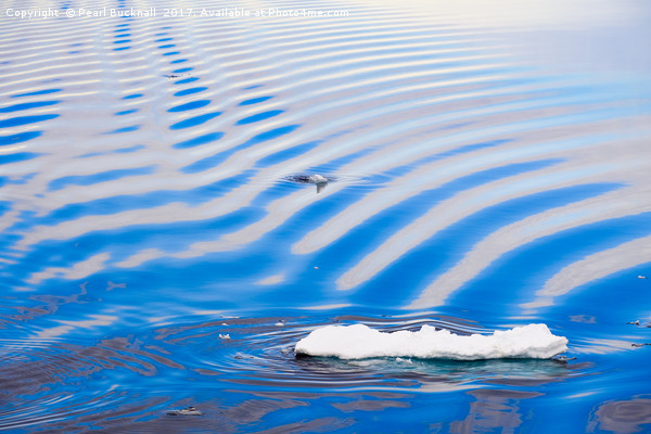 Ice in Sea Water Ripples off Arctic Svalbard Picture Board by Pearl Bucknall