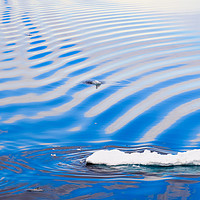 Buy canvas prints of Ice in Sea Water Ripples off Arctic Svalbard by Pearl Bucknall