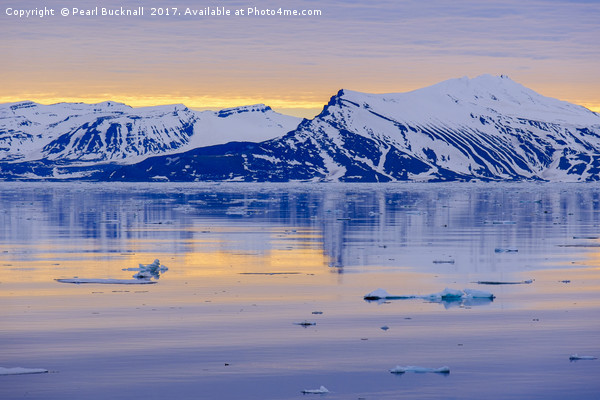 Arctic Summer on Spitsbergen Coast Picture Board by Pearl Bucknall