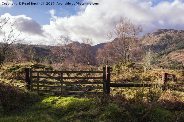 Farm Gate in Snowdonia Hills Picture Board by Pearl Bucknall