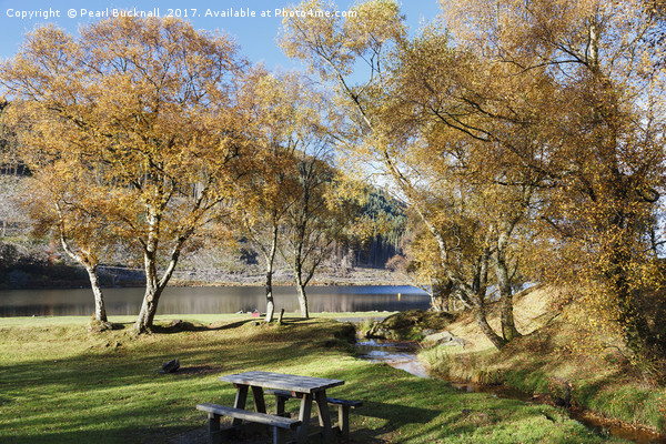 Llyn Geirionydd in Autumn Picture Board by Pearl Bucknall