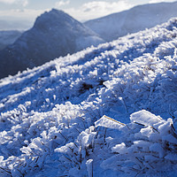 Buy canvas prints of Frozen Snowdonia Landscape by Pearl Bucknall