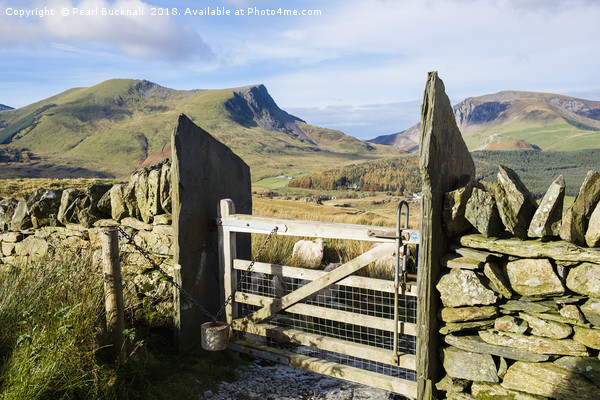 Gate on Mountain Path Picture Board by Pearl Bucknall