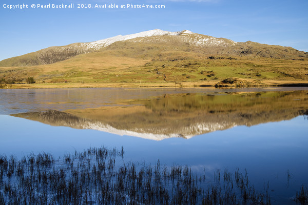 Snowdon reflection in Llyn y Gader Water Picture Board by Pearl Bucknall