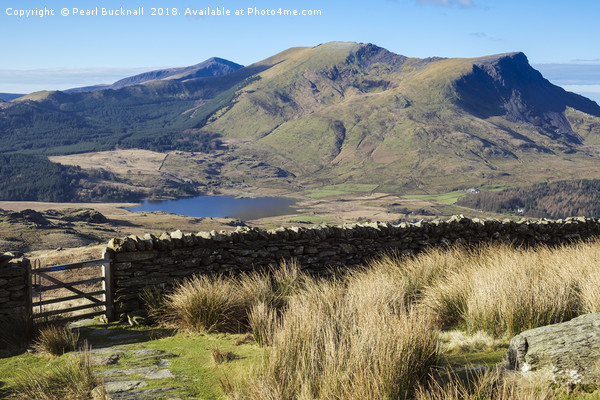 Nantlle Ridge from Rhyd Ddu Path Picture Board by Pearl Bucknall