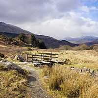 Buy canvas prints of Country Path in Snowdonia by Pearl Bucknall