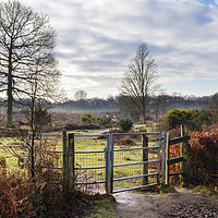 Buy canvas prints of Hothfield Heathlands on a Winter Day in Rural Kent by Pearl Bucknall