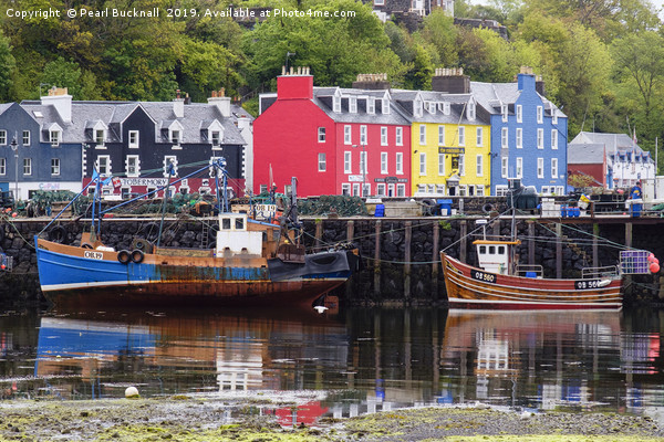Boats in Tobermory Harbour Isle of Mull Picture Board by Pearl Bucknall