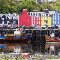Buy canvas prints of Boats in Tobermory Harbour Isle of Mull by Pearl Bucknall