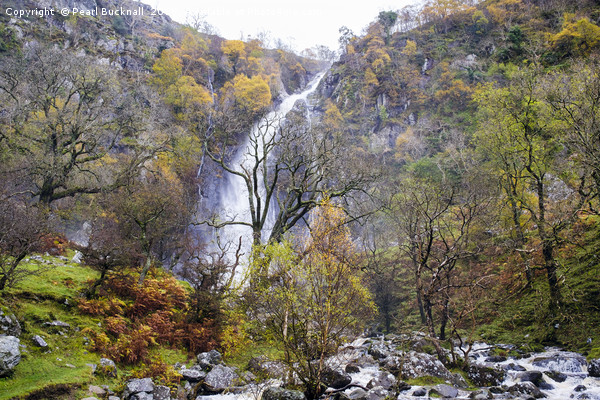 Aber Falls Waterfall in Autumn Snowdonia Picture Board by Pearl Bucknall