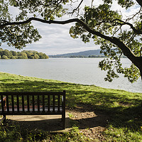 Buy canvas prints of Blagdon Lake in Mendips Somerset by Pearl Bucknall