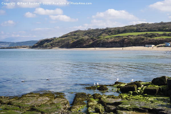 Benllech Bay and Beach Anglesey Picture Board by Pearl Bucknall