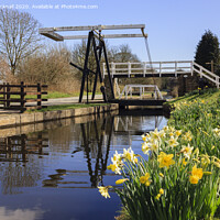 Buy canvas prints of Llangollen Canal in Spring by Pearl Bucknall