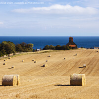 Buy canvas prints of St Abbs Harvest Farming in Scotland by Pearl Bucknall
