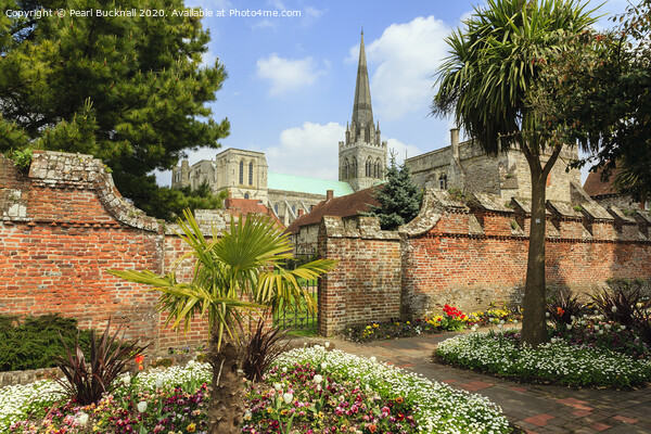 Chichester Cathedral from Bishop's Palace Garden Picture Board by Pearl Bucknall