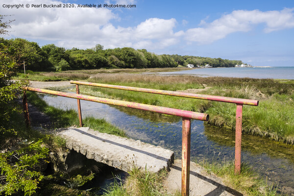 Anglesey Coastal Footpath at Red Wharf Bay Picture Board by Pearl Bucknall