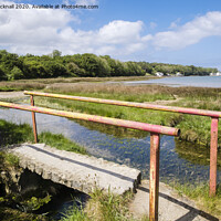 Buy canvas prints of Anglesey Coastal Footpath at Red Wharf Bay by Pearl Bucknall