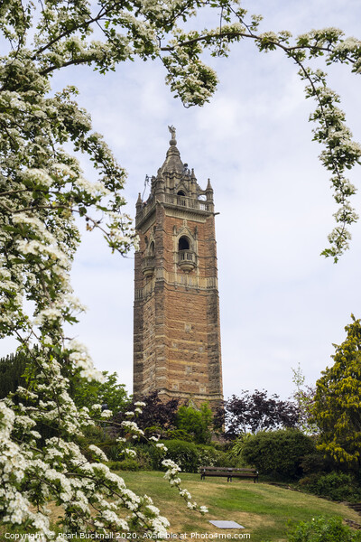 Cabot Tower Bristol Picture Board by Pearl Bucknall