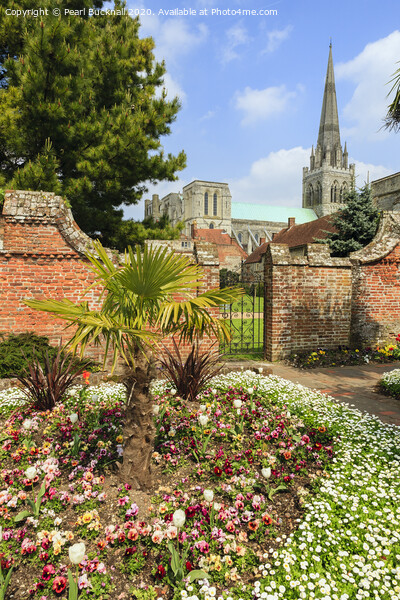 Bishop's Palace Gardens and Chichester Cathedral Picture Board by Pearl Bucknall