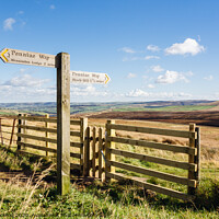 Buy canvas prints of Pennine Way to Black Hill Yorkshire by Pearl Bucknall
